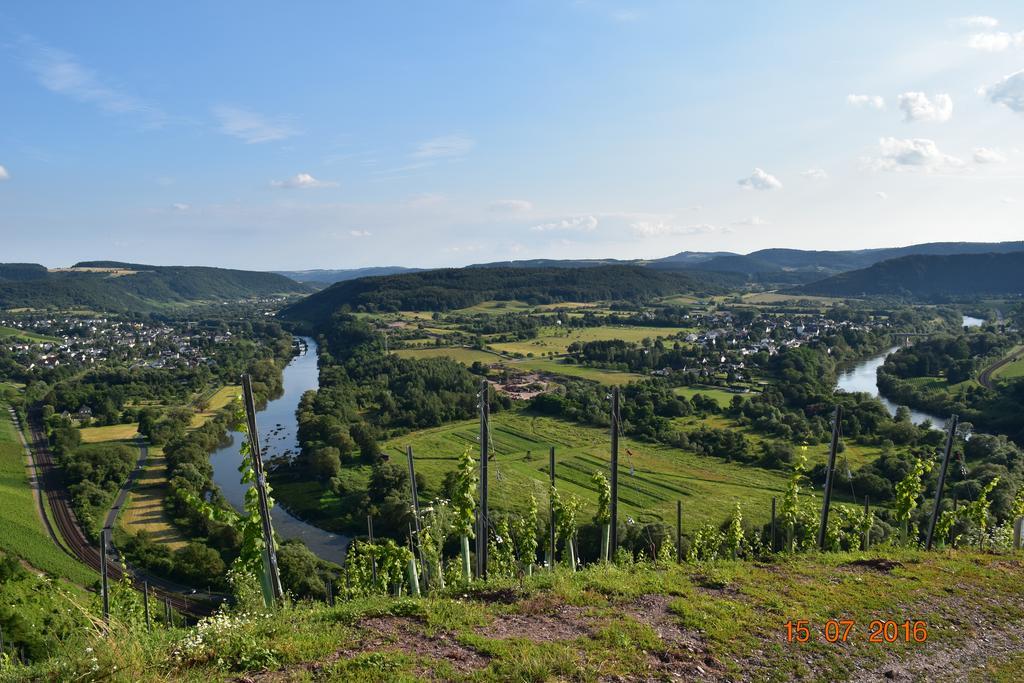 Ferienweingut Borens Wiltingen Экстерьер фото